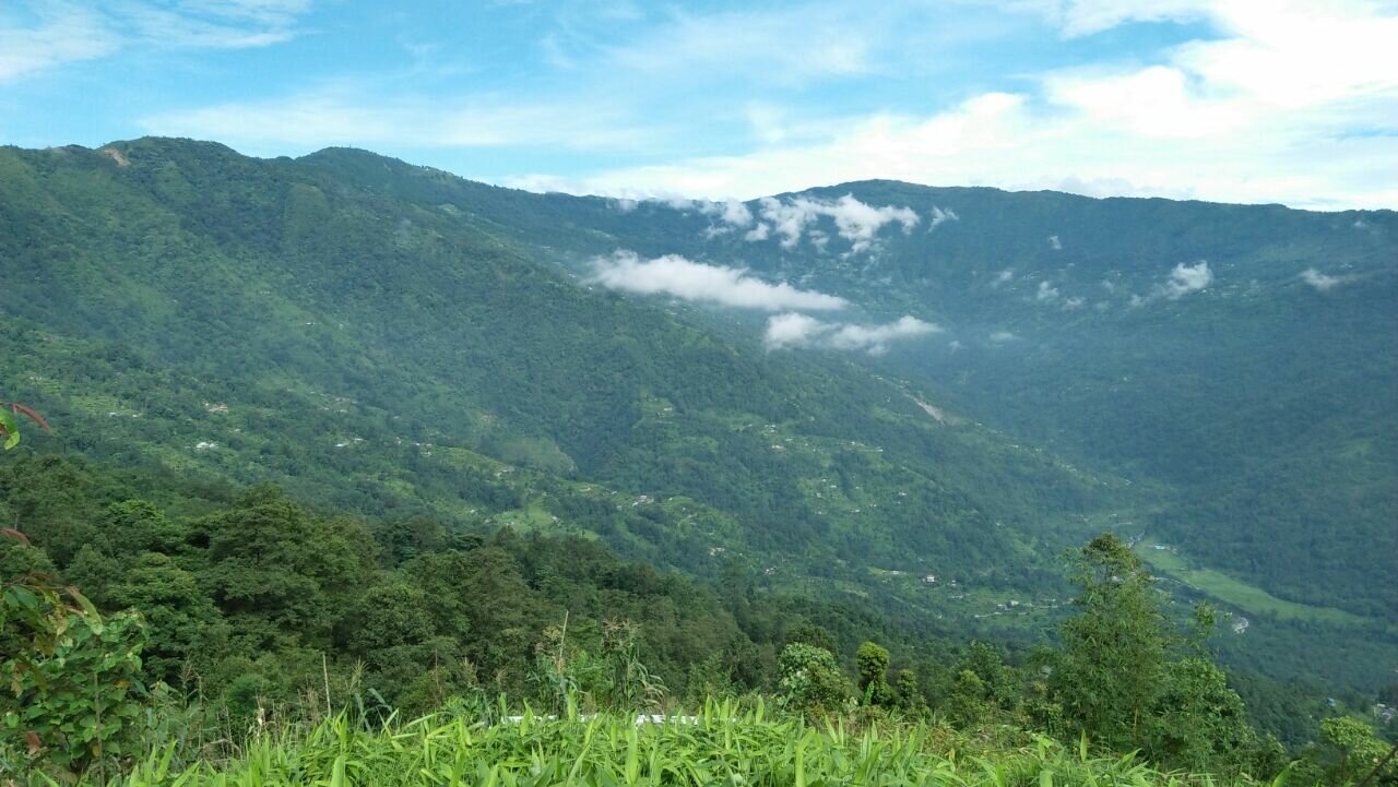 Sittong 2